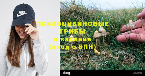МДПВ Майский