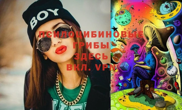 МДПВ Майский