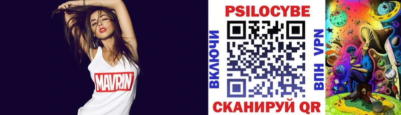 Псилоцибиновые грибы мухоморы  MEGA онион  Туапсе  наркошоп 