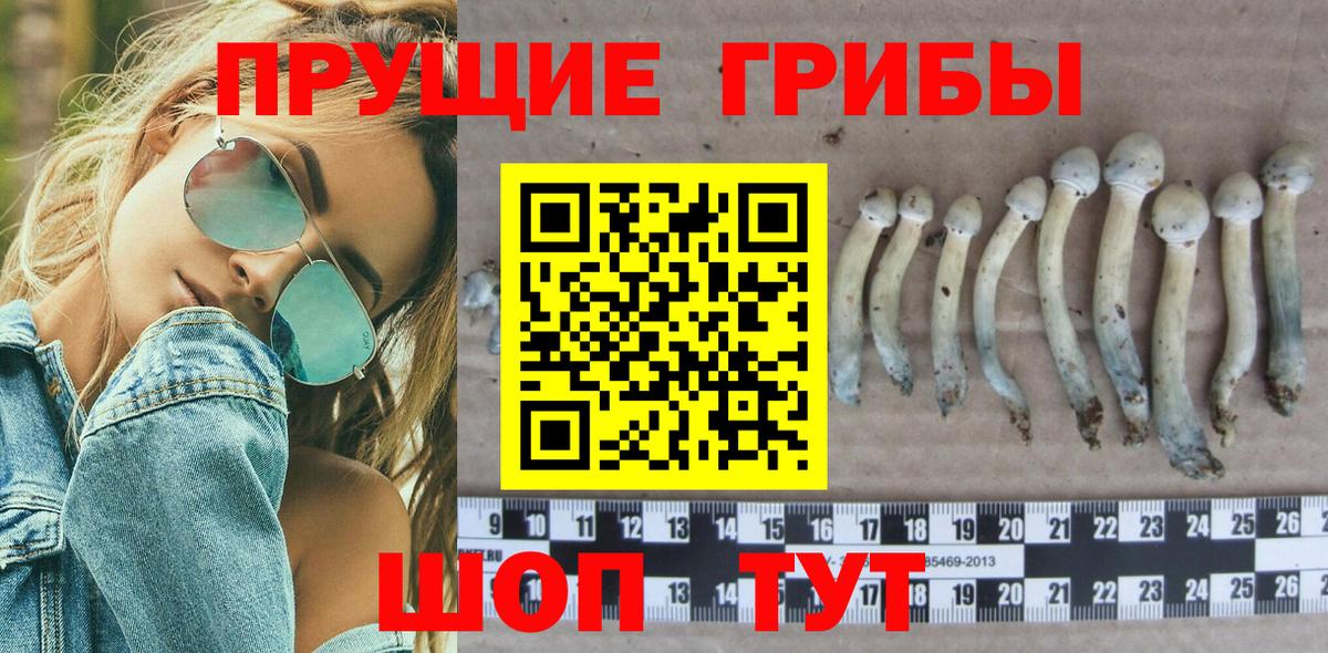 Галлюциногенные грибы MAGIC MUSHROOMS  Галлюциногенные грибы мухоморы  Туапсе  Вход с VPN 